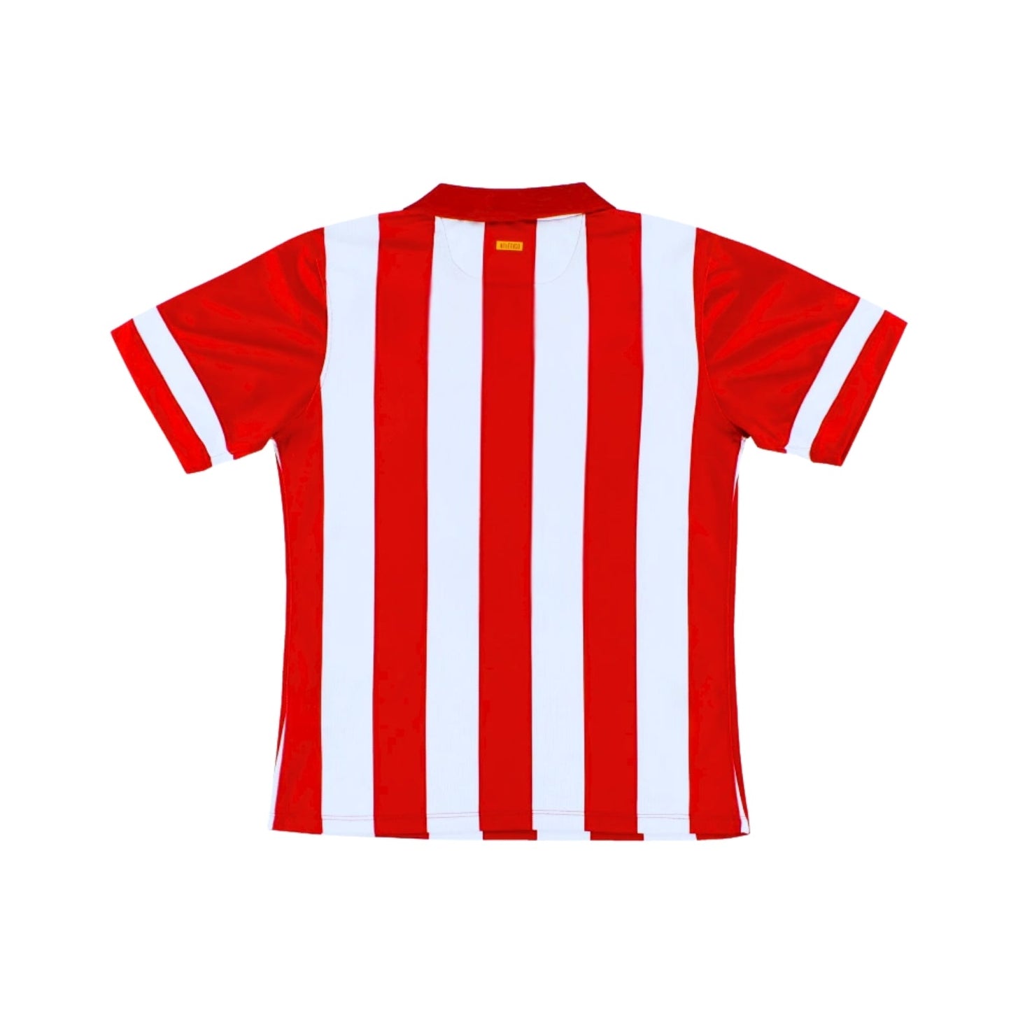 Atlético de Madrid 13/14