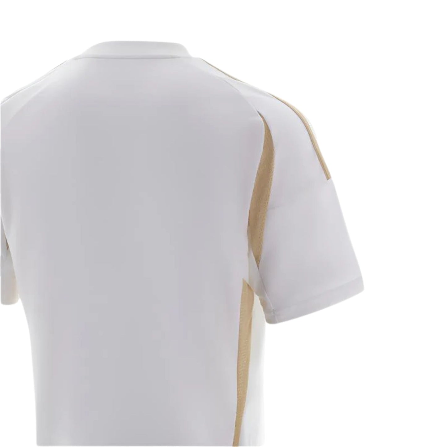 Al-Nassr 24/25 Terceiro