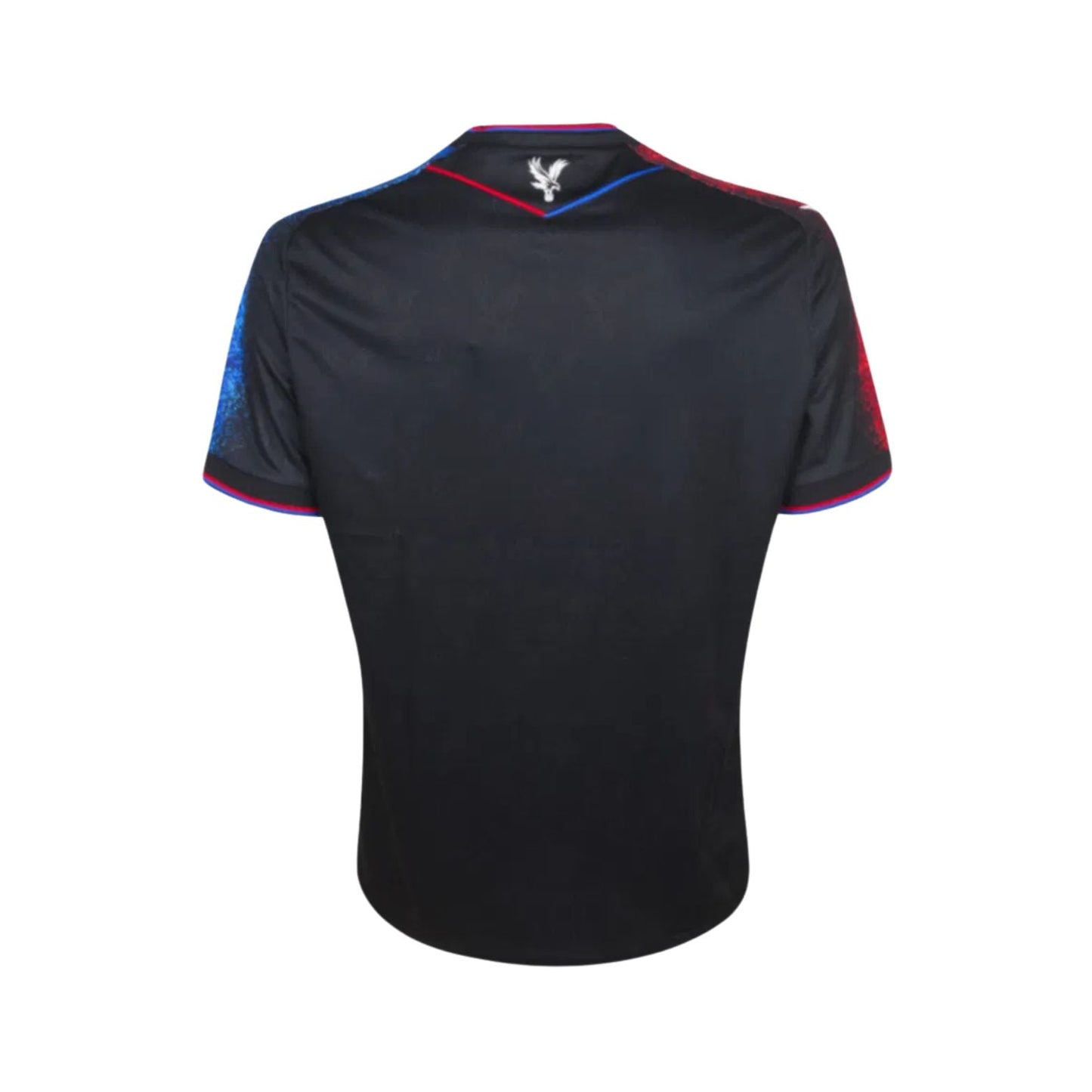 Crystal Palace 24/25 Dritter