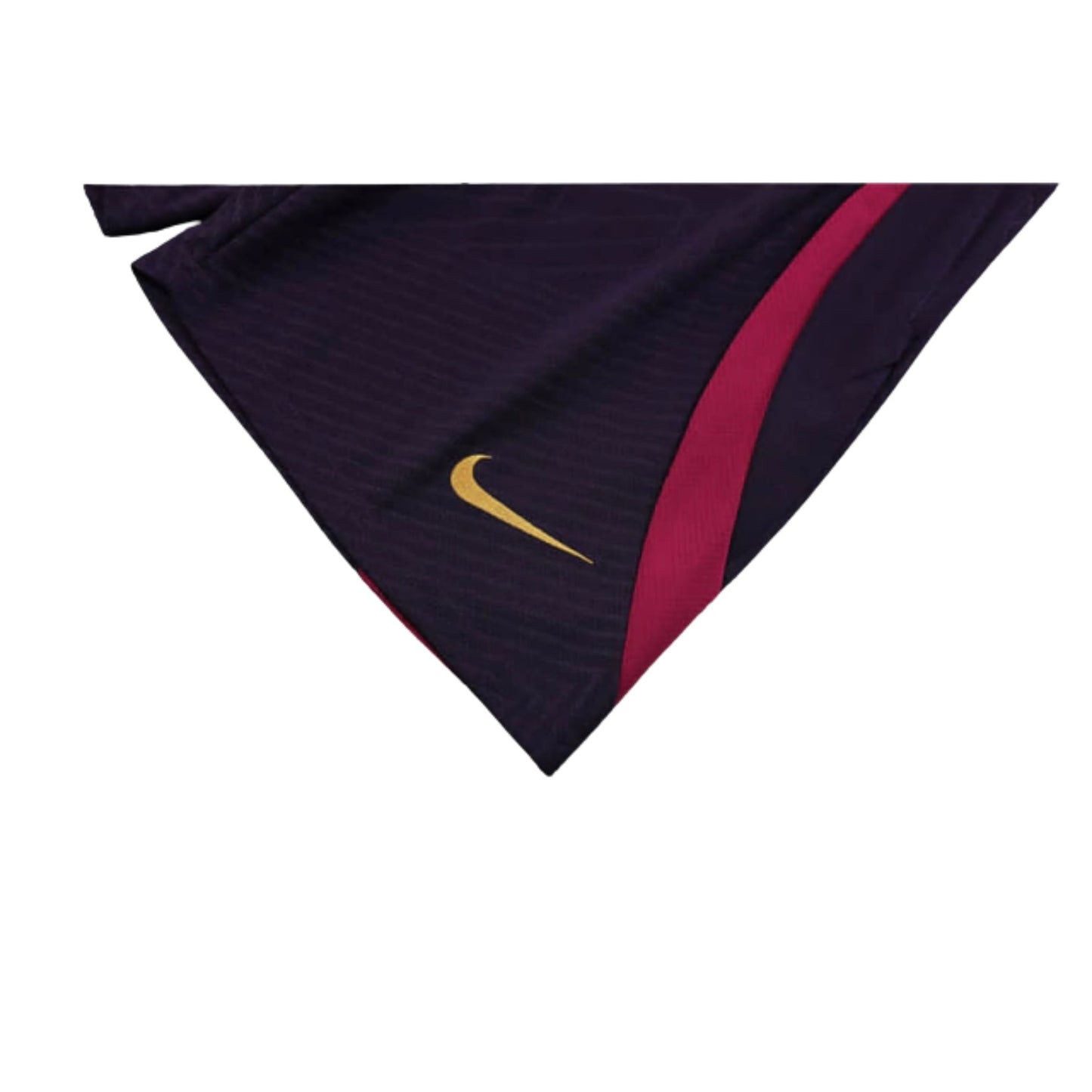 PSG 24/25 - Training Kit