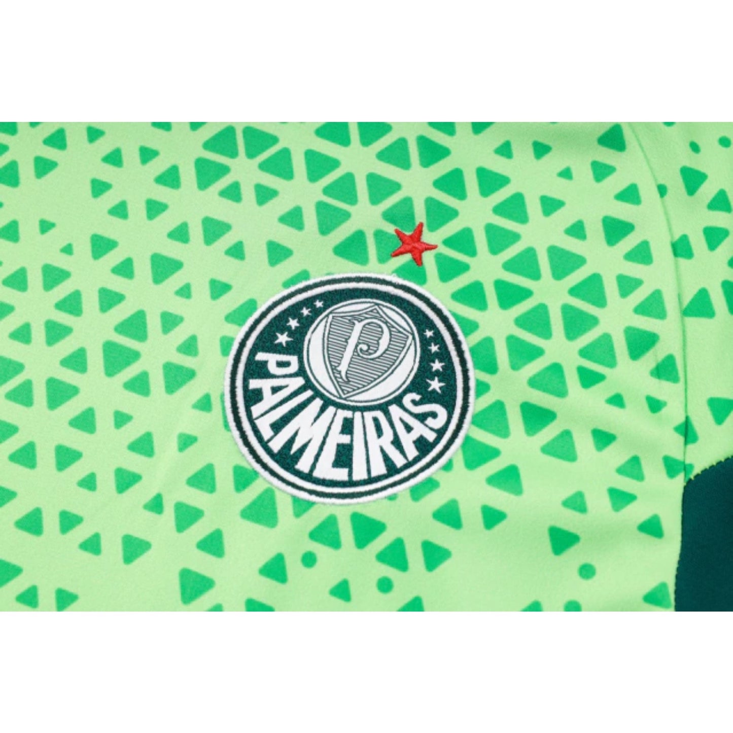 Palmeiras 24/25 - Training Kit