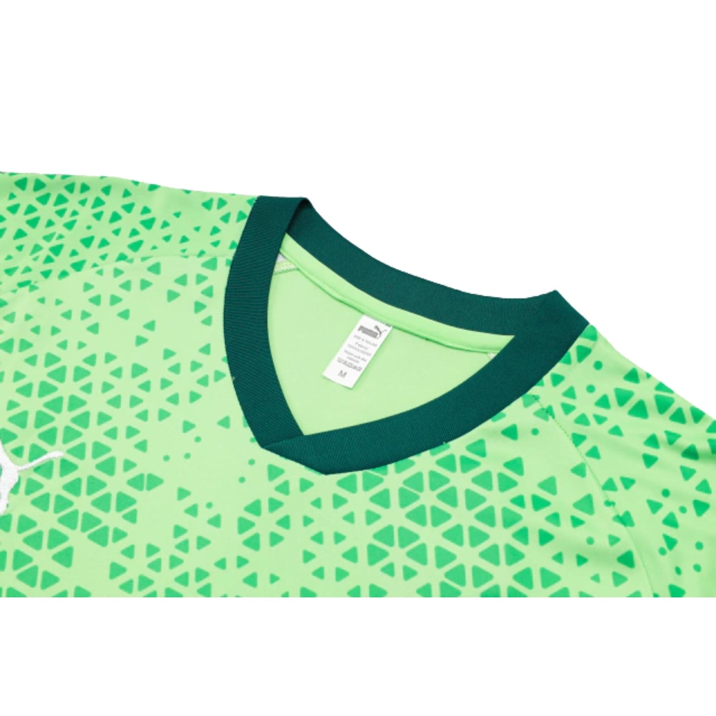 Palmeiras 24/25 - Training Kit
