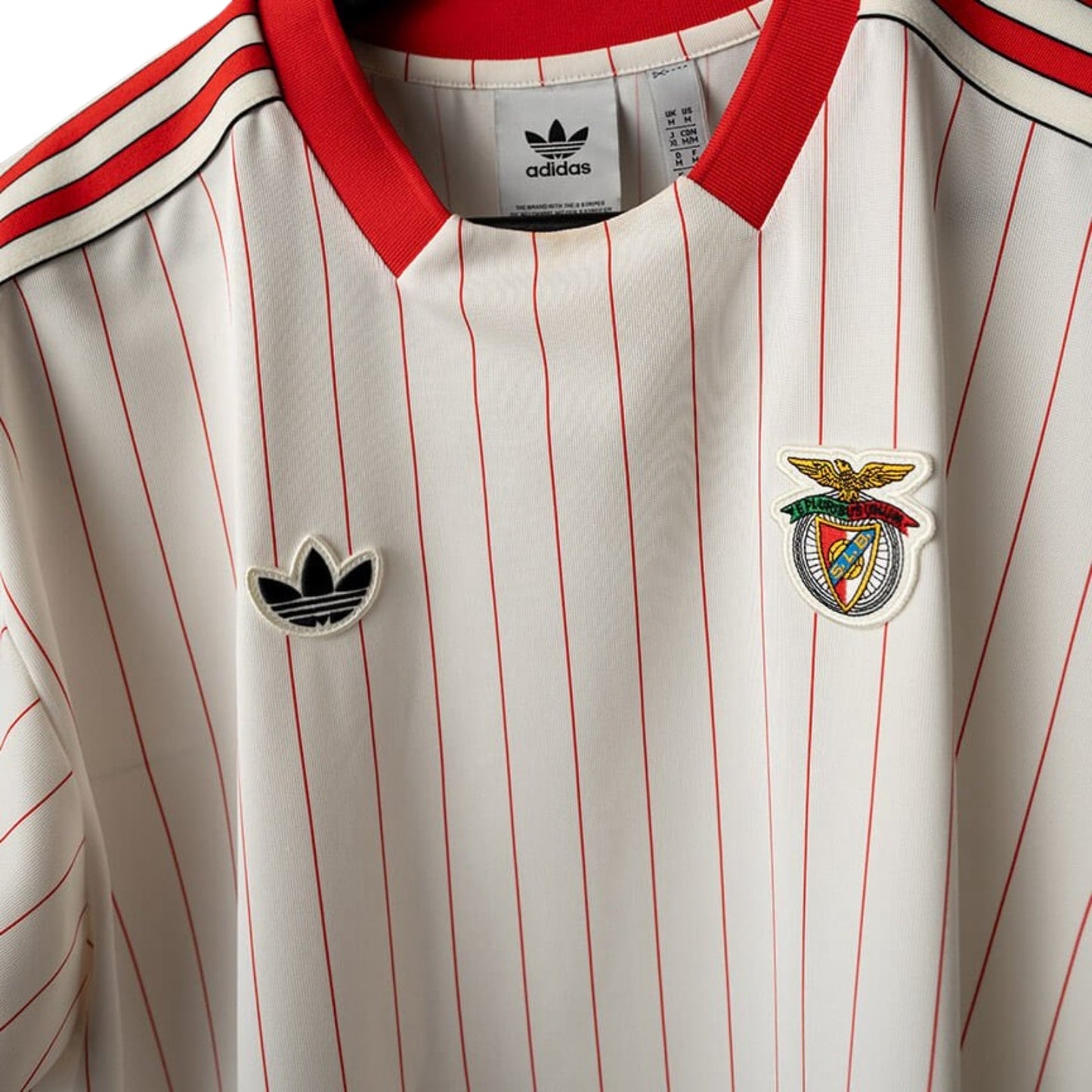 Benfica 25/26 - Edição Especial