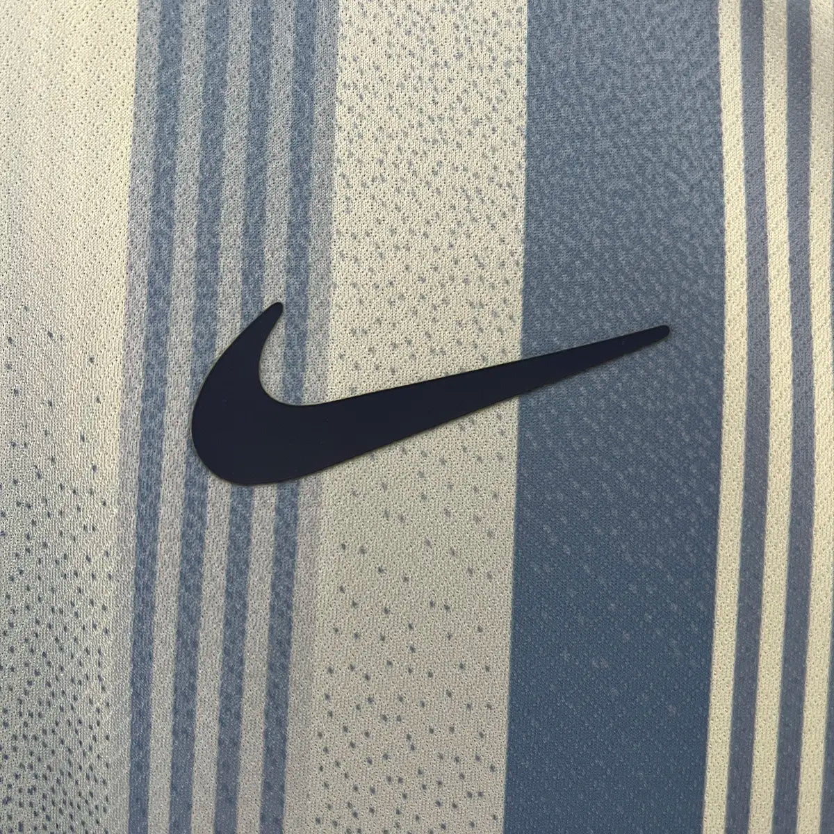 Tottenham Hotspur F.C. 24/25 Away