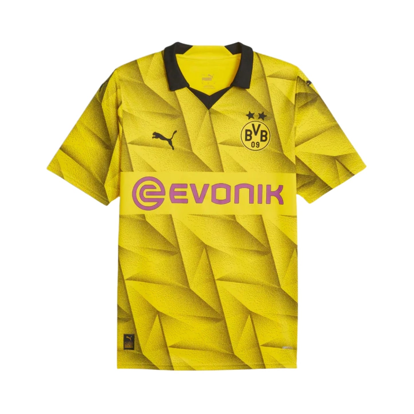 Borussia Dortmund 23/24