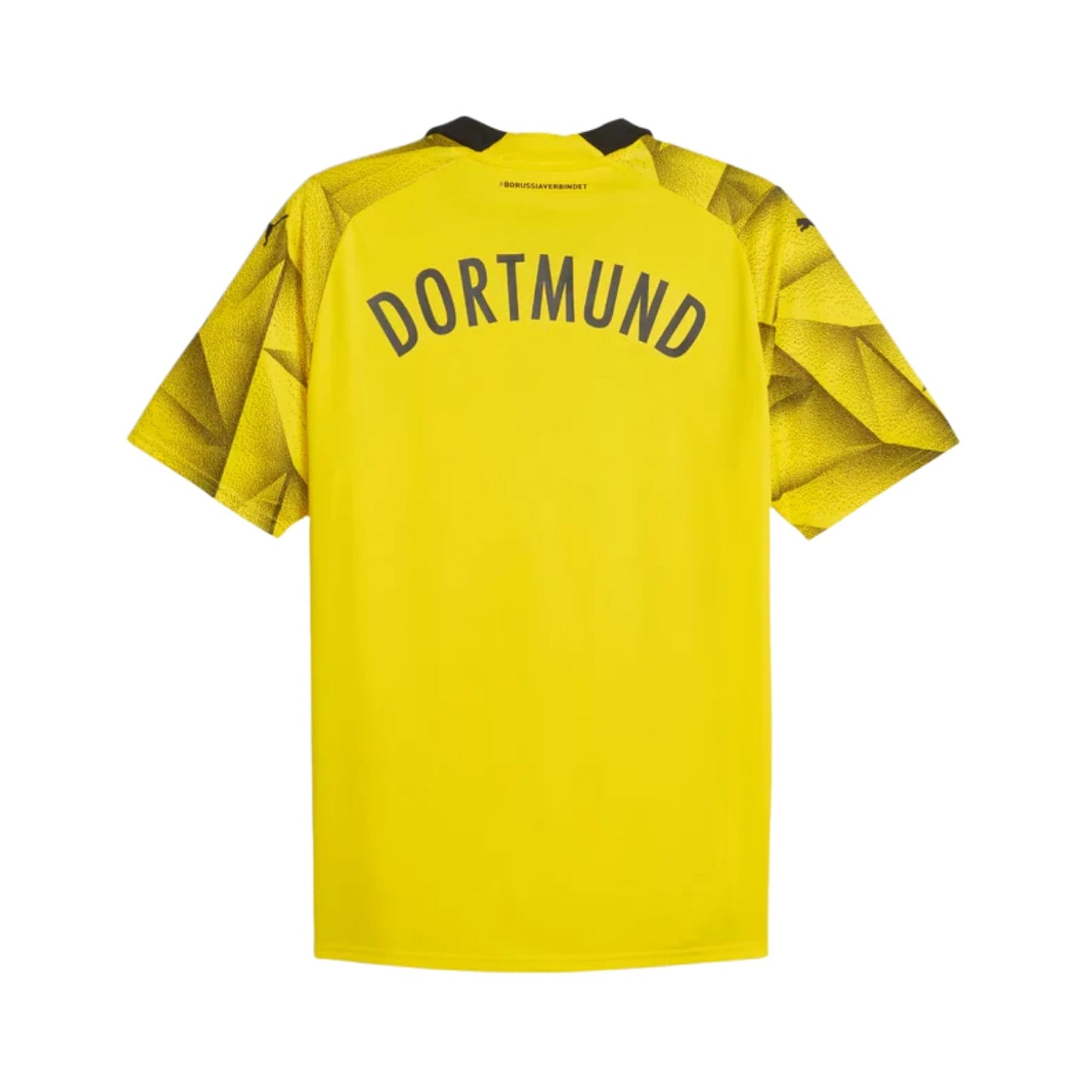 Borussia Dortmund 23/24