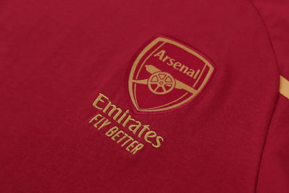 Arsenal 24/25 - Training Kit
