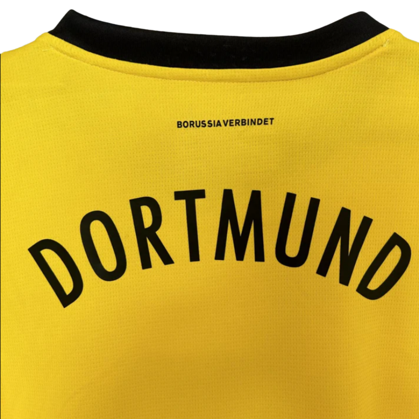 Borussia Dortmund 24/25