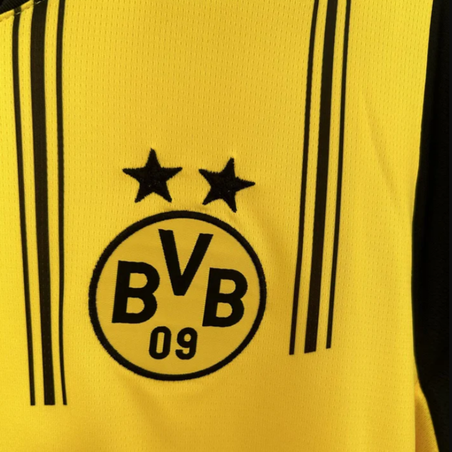 Borussia Dortmund 24/25