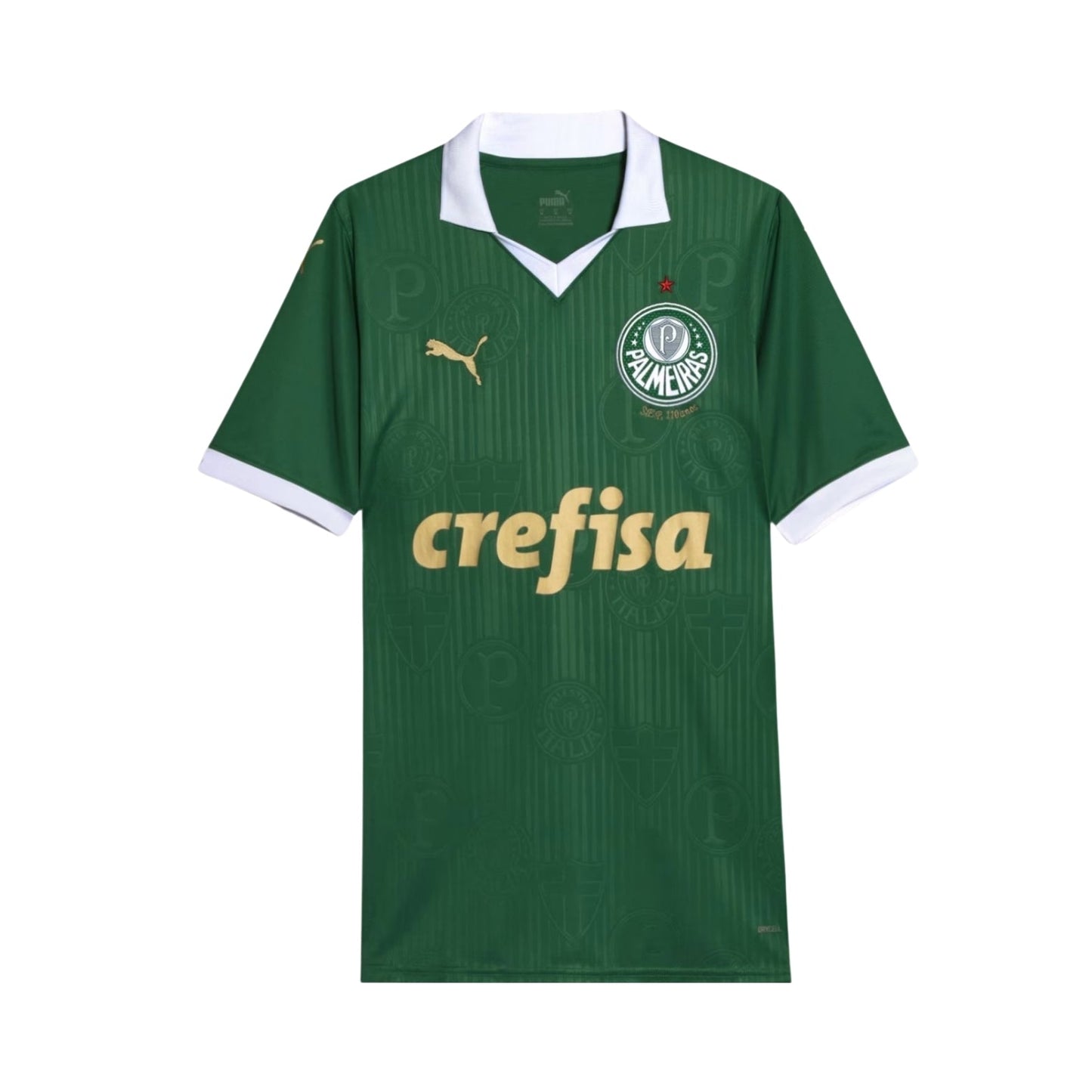 Palmeiras 24/25