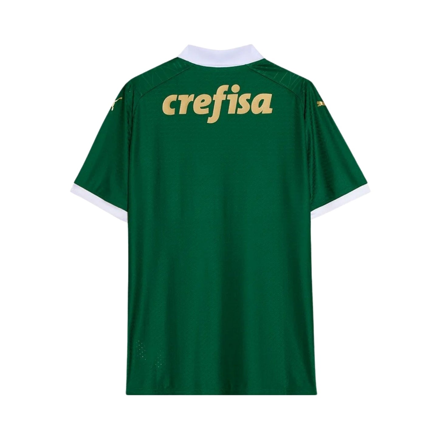 Palmeiras 24/25