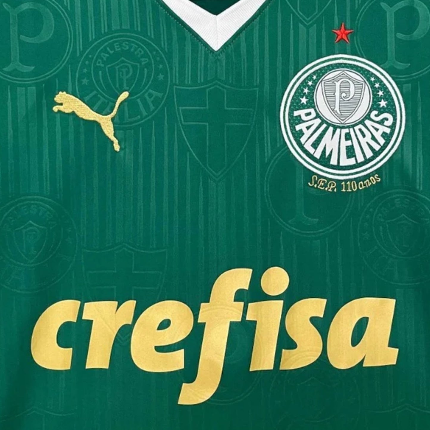 Palmeiras 24/25