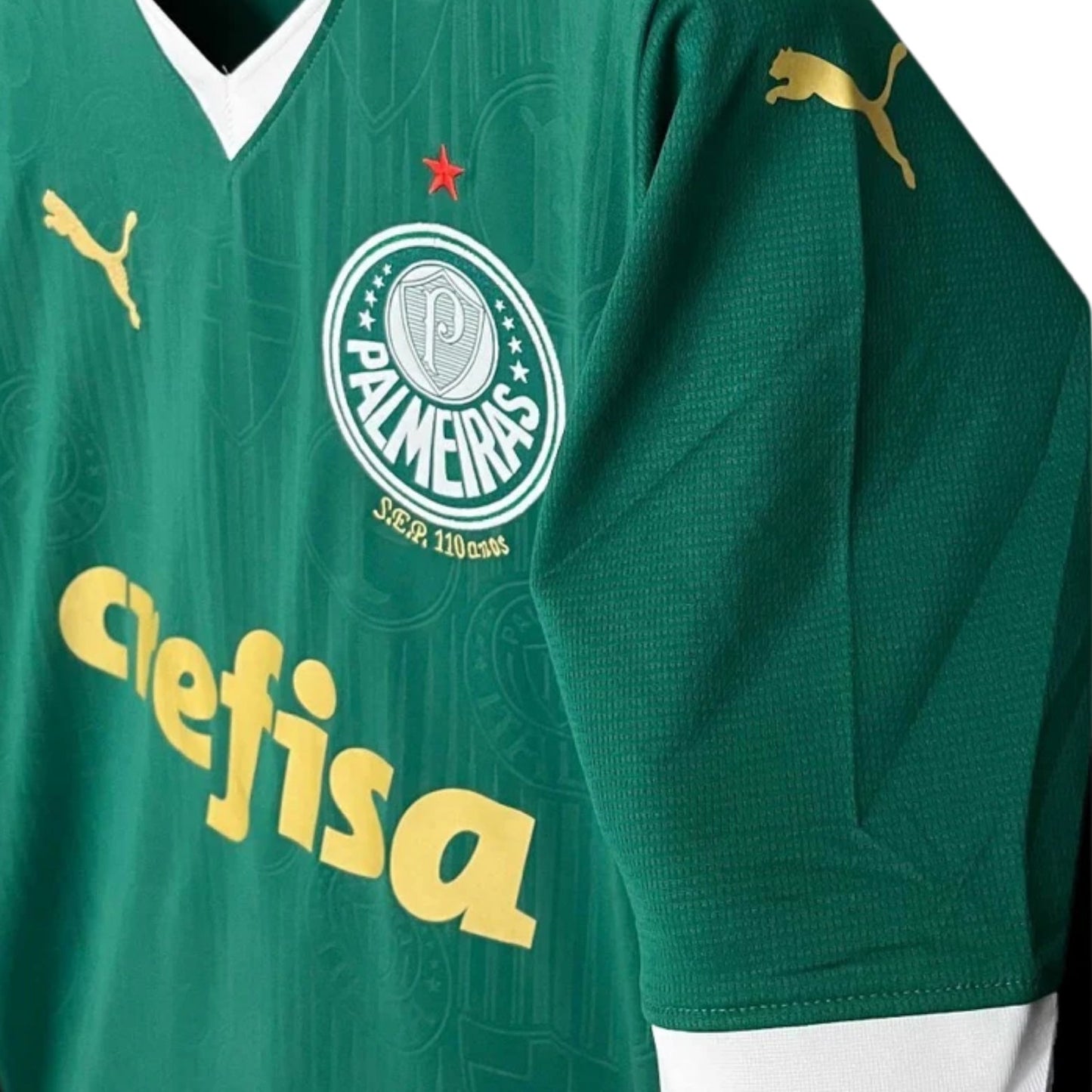 Palmeiras 24/25