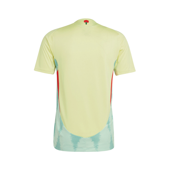 Spain 24/25 Away