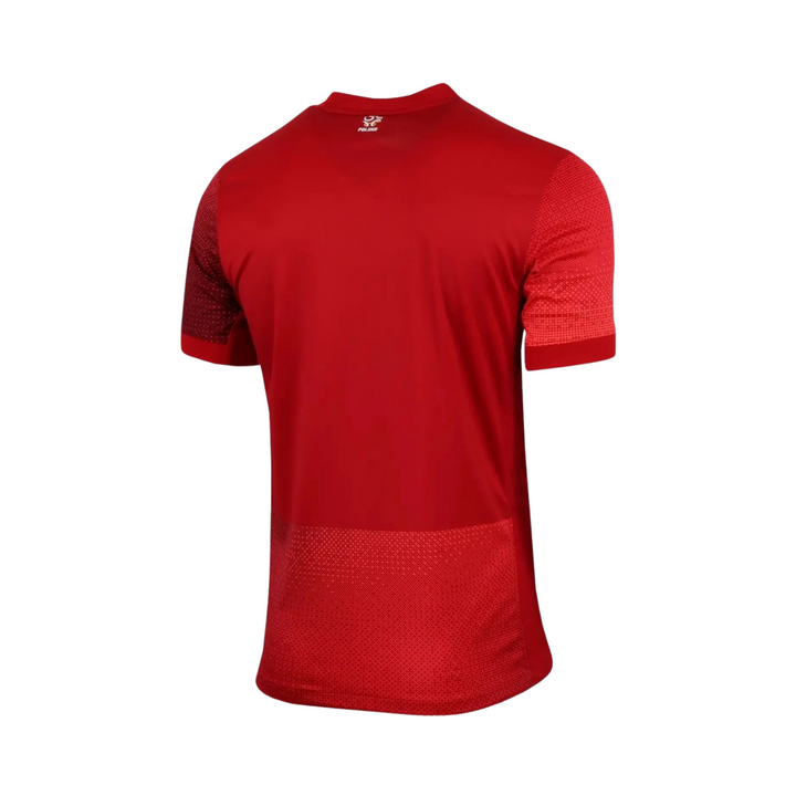 Poland 24/25 Away