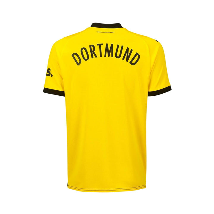 Borussia Dortmund 23/24