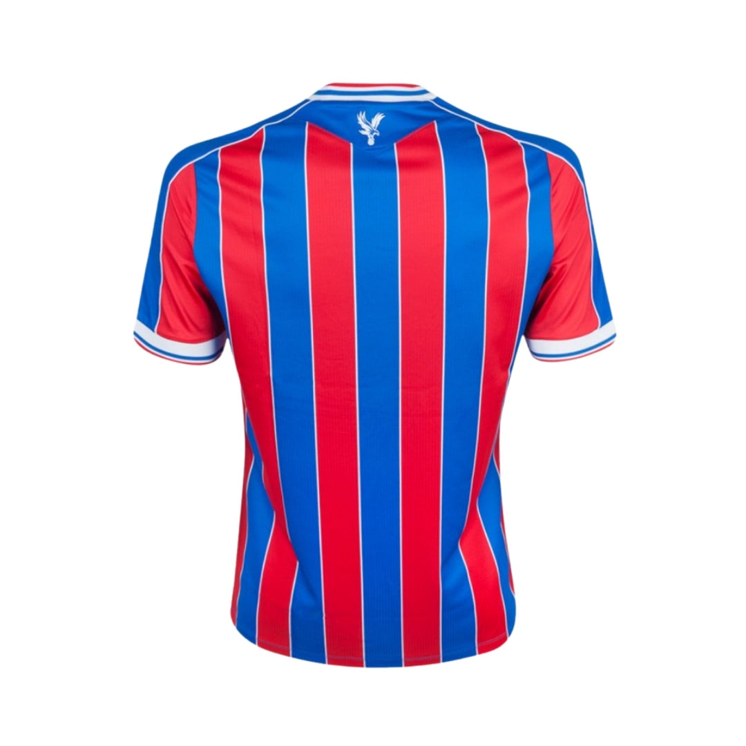 Crystal Palace Manager 25/26