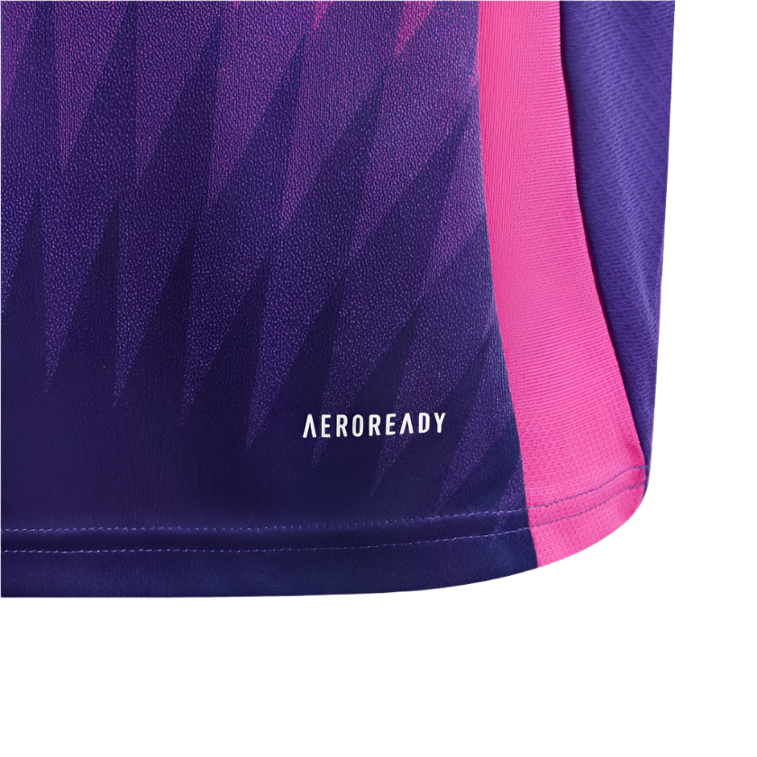 Germany 24/25 Away