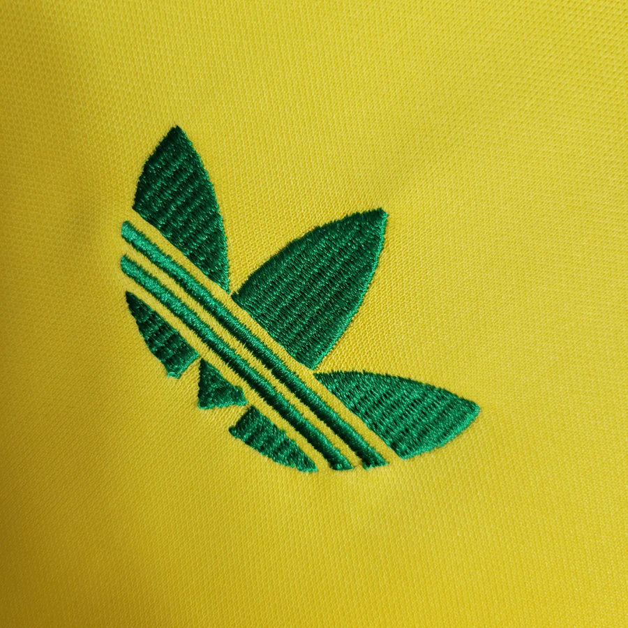 Brazil 77/78